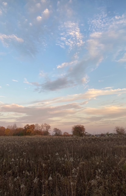 Rest in Reach: Psalm 121’s Invitation