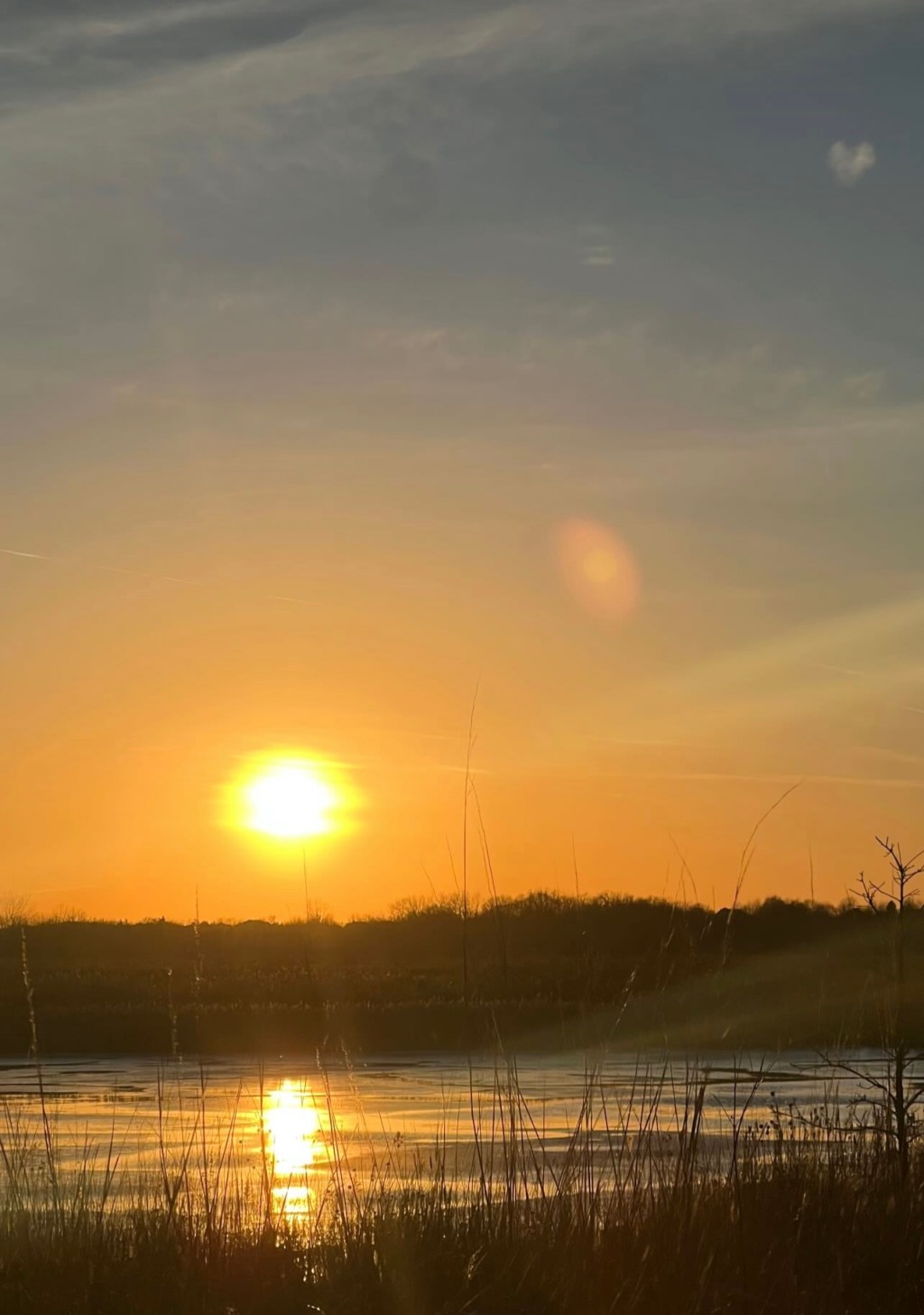 Where There is Hope, There is Life