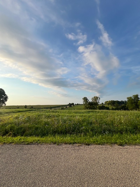 Psalm 131: Cultivating a Soul at Rest