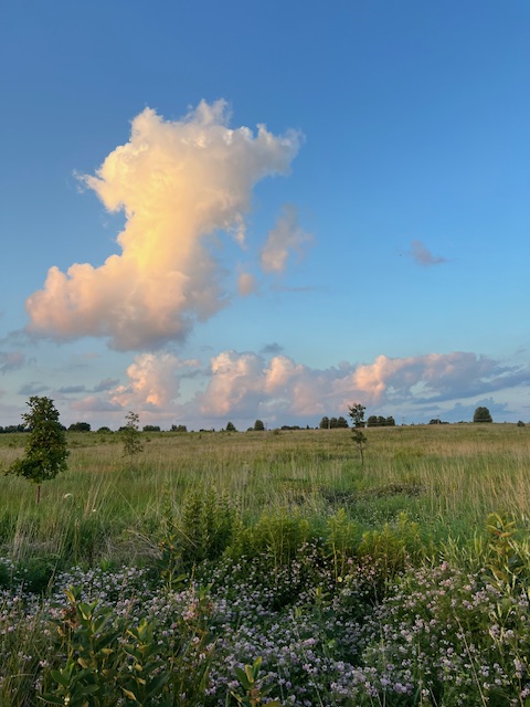 The Security of Belonging to Jesus