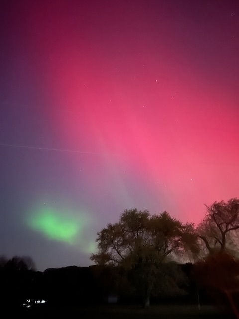 Noah and The Covenant: Mercy in the Aftermath