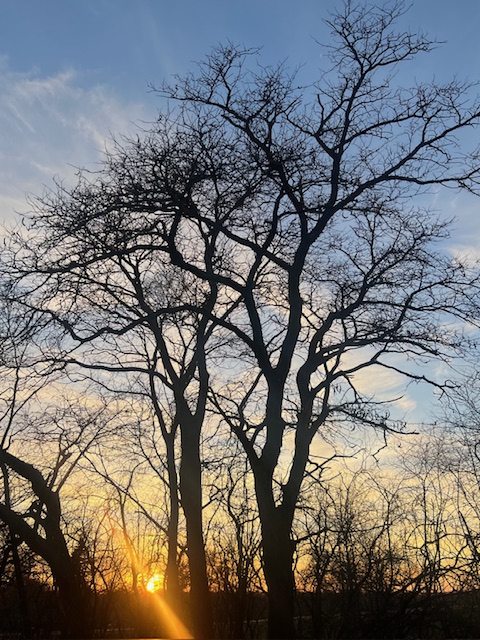 When Questions Meet God